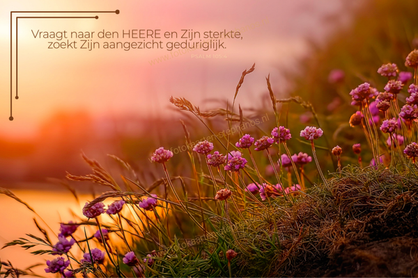 Bijbelteksten & Gedichten 02