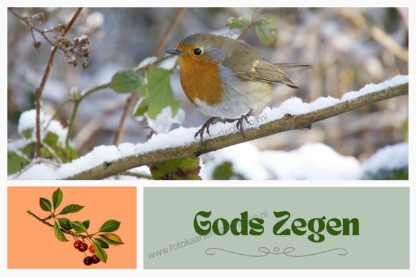 Kerst & Nieuwjaar - Gezegend Nieuwjaar 02