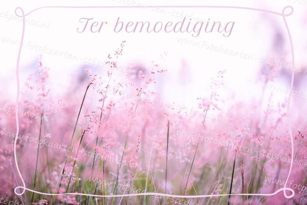 Medeleven - Ter bemoediging 02