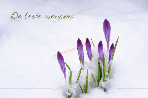 Kerst & Nieuwjaar - De beste wensen 02