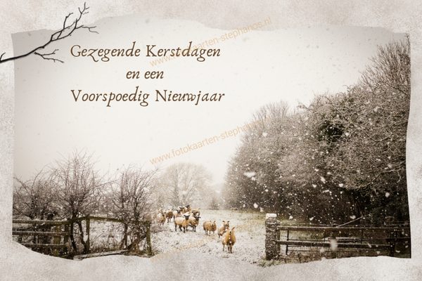 Kerst & Winter - Gezegende Kerstdagen 02