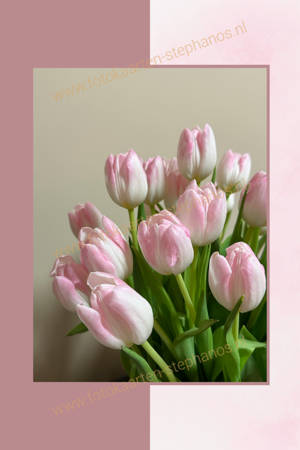 Blanco - Vrouw 03