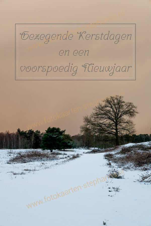 Kerst & Winter - Gezegende Kerstdagen 03