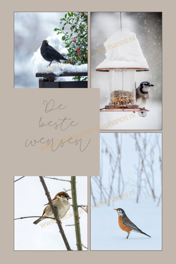 Kerst & Nieuwjaar - De beste wensen 03