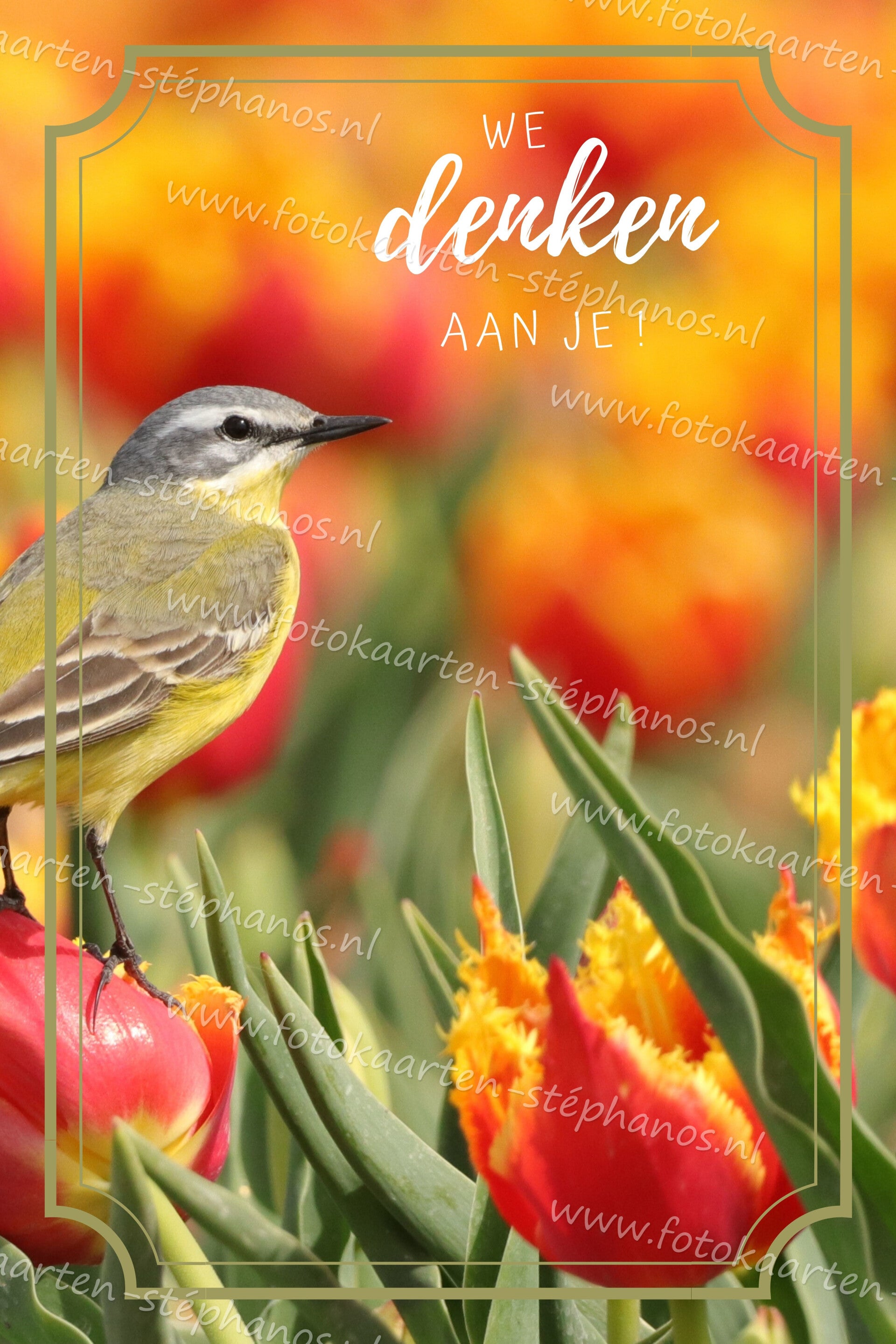 Medeleven - We denken aan je 04