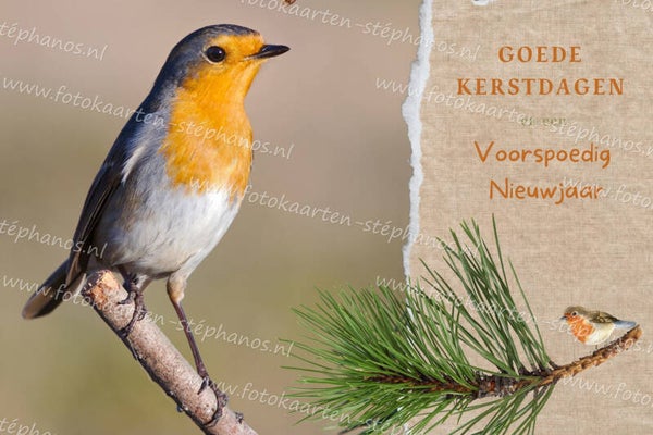 Kerst & Winter - Goede Kerstdagen 04
