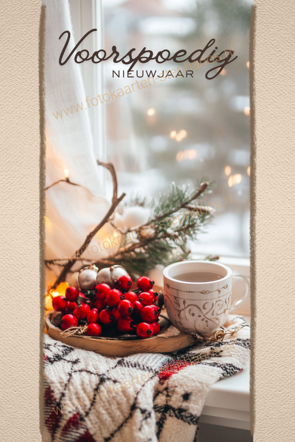 Kerst & Nieuwjaar - Voorspoedig Nieuwjaar 04