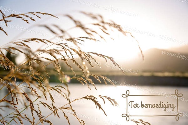 Medeleven - Ter bemoediging 04