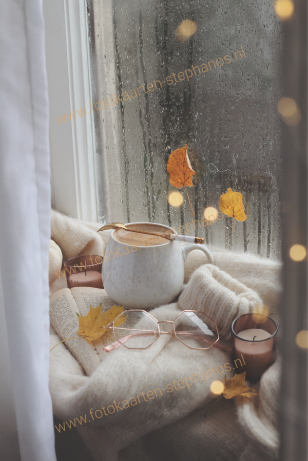 Kerst & Winter - Blanco Winter 04