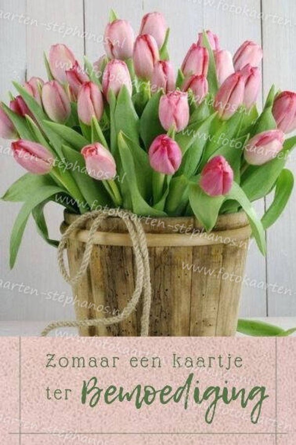 Medeleven - Ter bemoediging 05