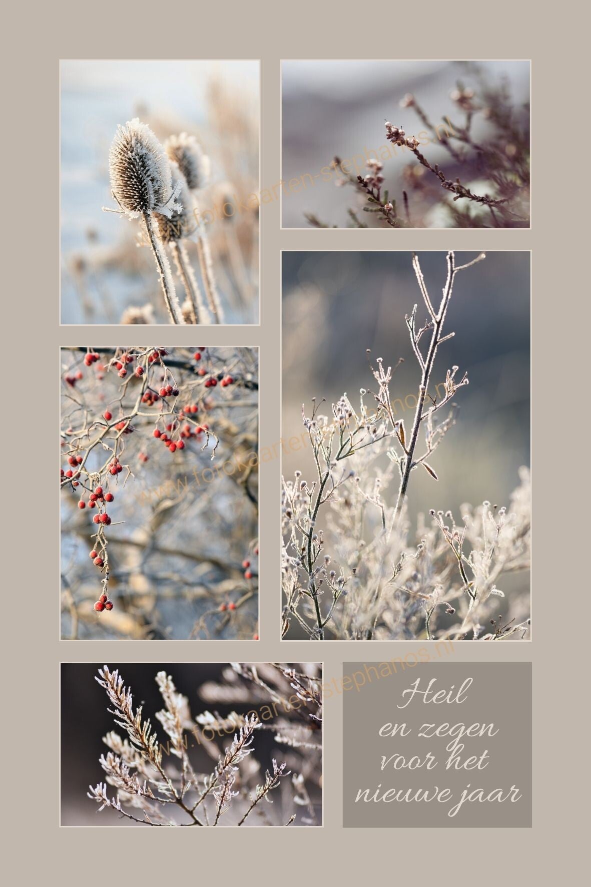 Kerst & Nieuwjaar - Gezegend Nieuwjaar 05