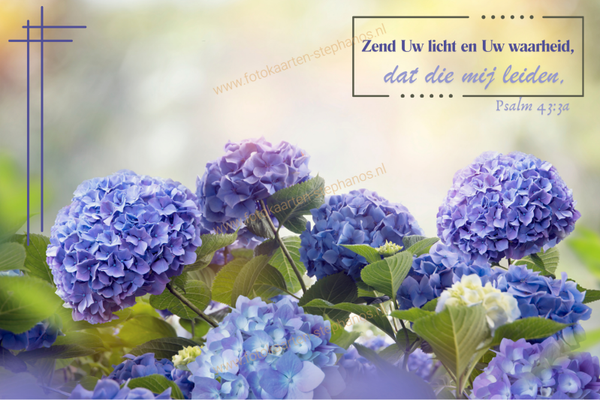 Bijbelteksten & Gedichten 05