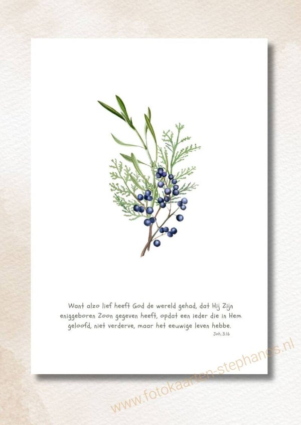 Kerst & Nieuwjaar - Luxe kerstkaarten 05