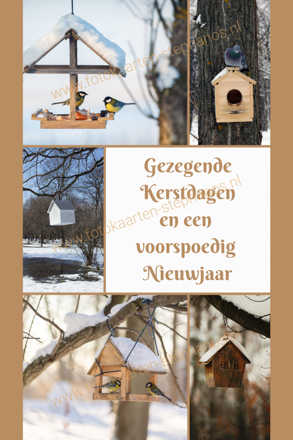 Kerst & Winter - Gezegende Kerstdagen 05