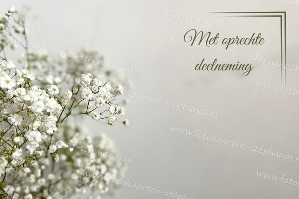 Medeleven - Oprechte deelneming 05