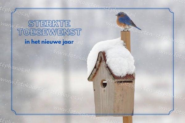 Kerst & Nieuwjaar - Sterkte in het nieuwe jaar 06