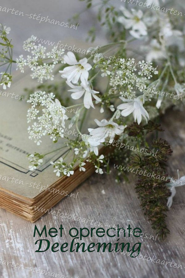 Medeleven - Oprechte deelneming 06