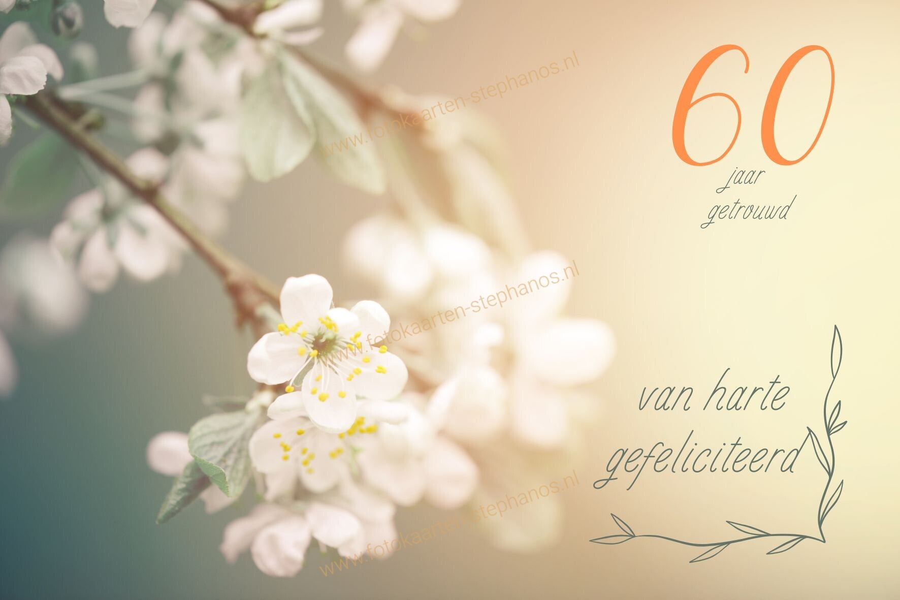 Huwelijk & Jubileum - 60 jaar getrouwd 06