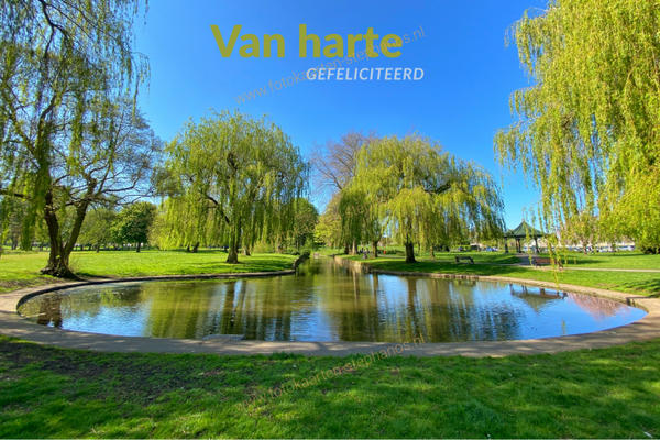 Felicitatie - Man 06