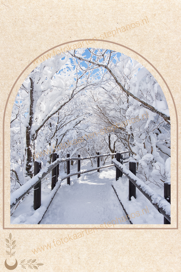 Kerst & Winter - Blanco Winter 06