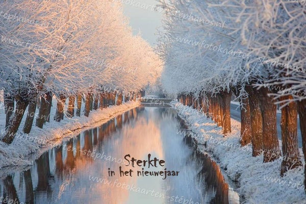 Kerst & Nieuwjaar - Sterkte in het nieuwe jaar 07