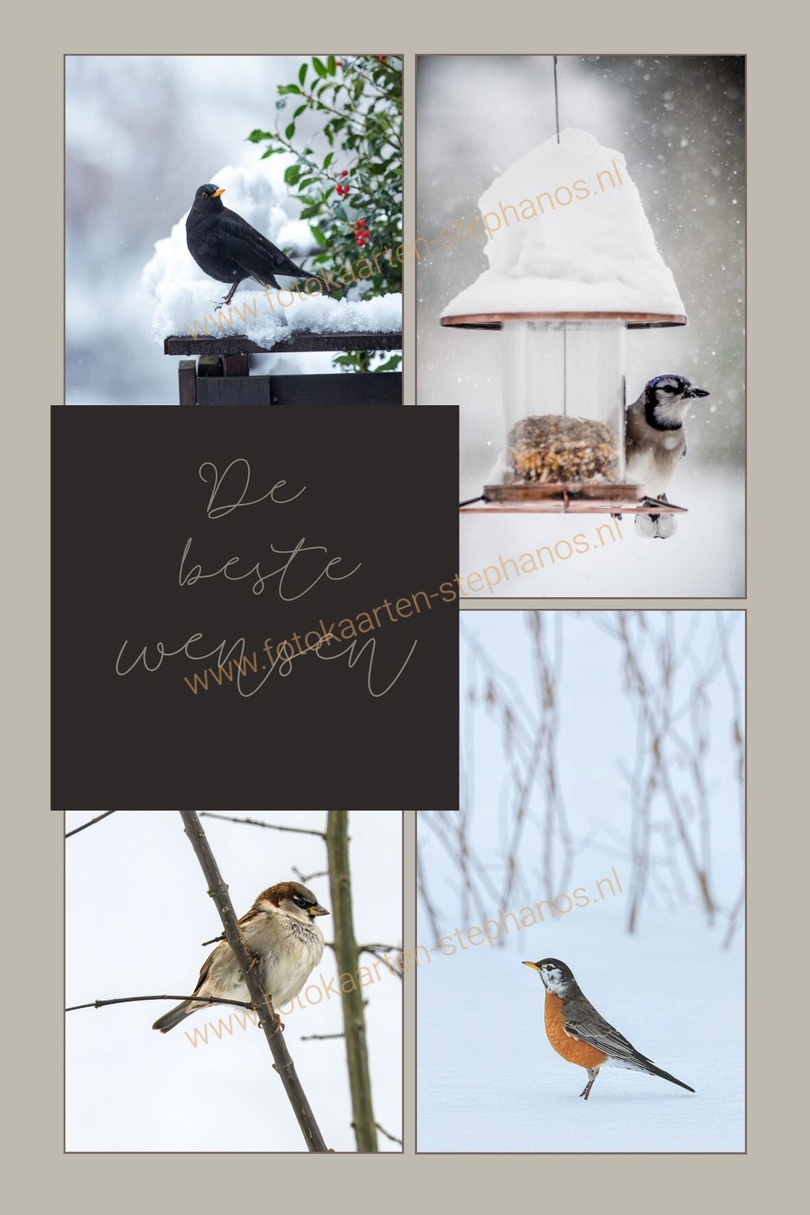 Kerst & Nieuwjaar - De beste wensen 07