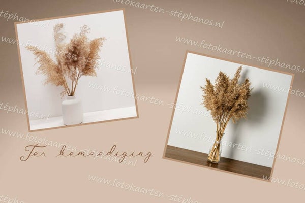 Medeleven - Ter bemoediging 07