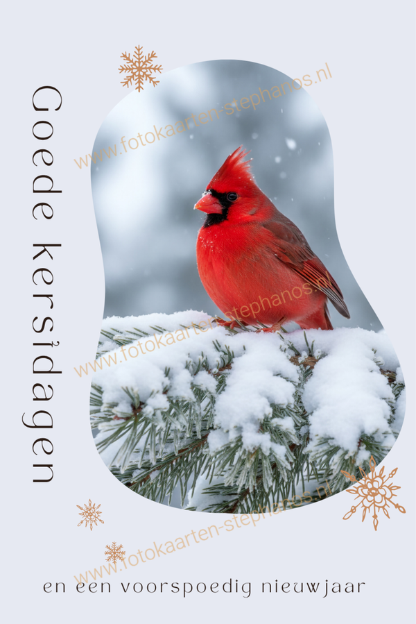 Kerst & Winter - Goede Kerstdagen 07