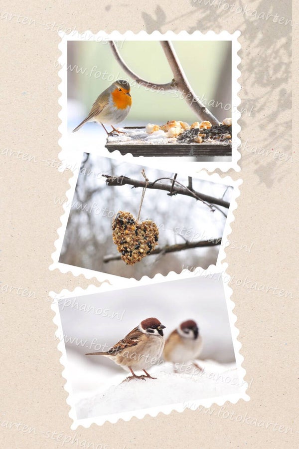 Kerst & Winter - Blanco Winter 07