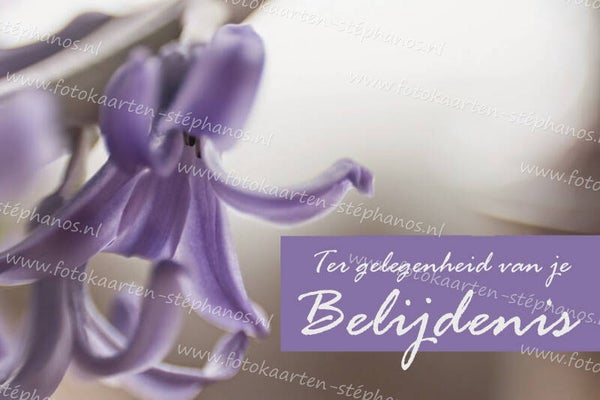 Diversen - Belijdenis 09