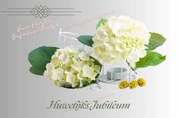 Huwelijk & Jubileum - Huwelijksjubileum 09