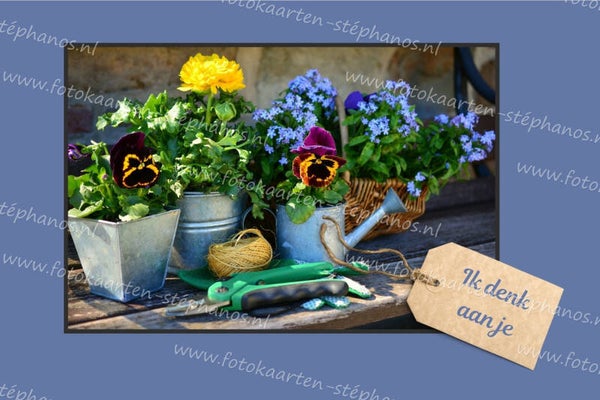 Medeleven - We denken aan je 09