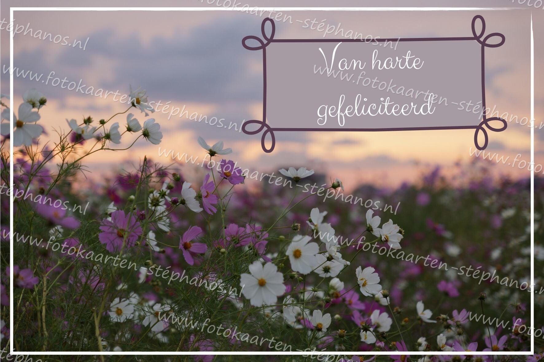 Felicitatie - Vrouw 01