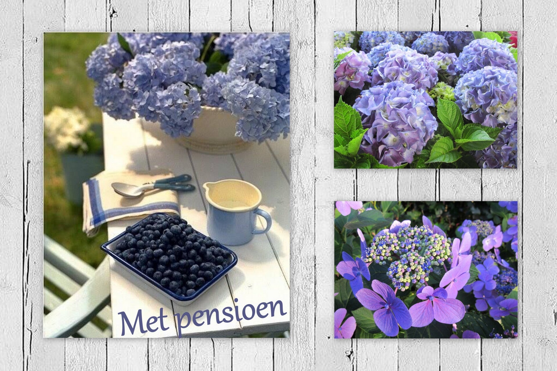 Diversen - Pension 01