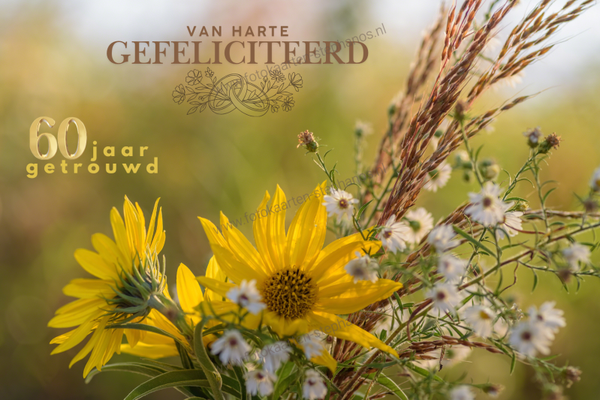 Huwelijk & Jubileum - 60 jaar getrouwd 10