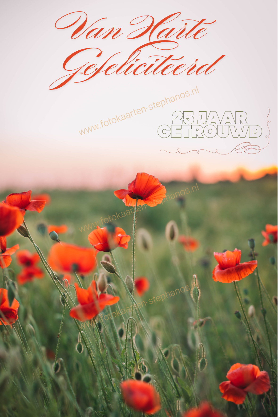 Huwelijk & jubileum - 25 jaar getrouwd 10