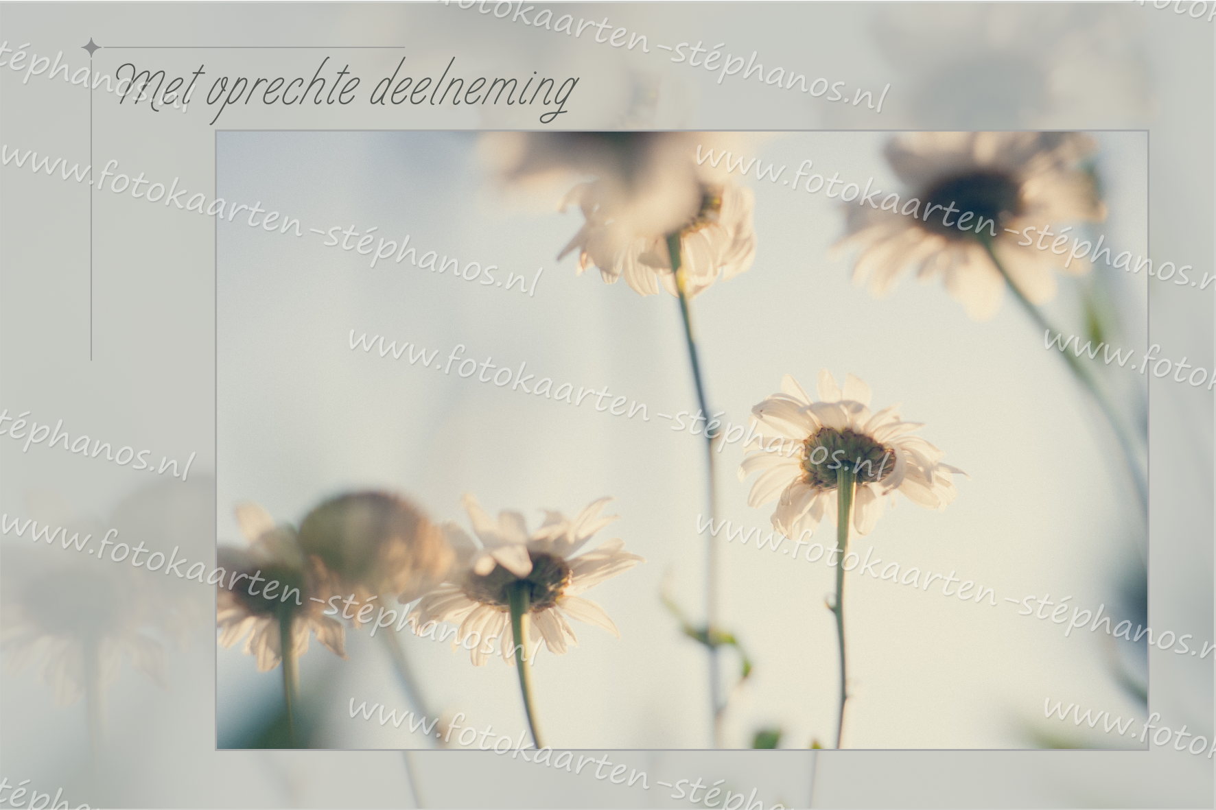 Medeleven - Oprechte deelneming 10