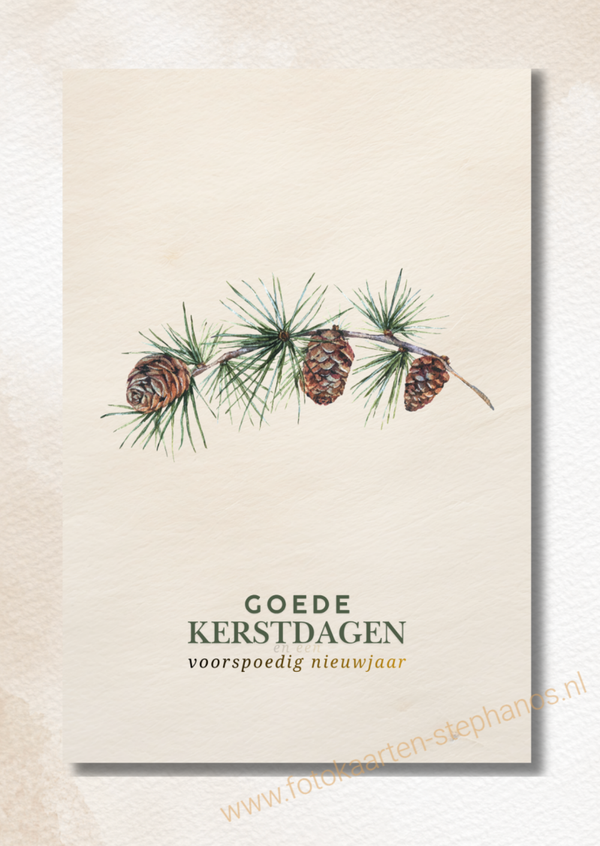Kerst & Nieuwjaar - Luxe kerstkaarten 10