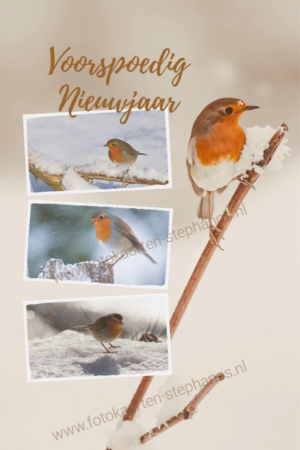 Kerst & Nieuwjaar - Voorspoedig Nieuwjaar 11