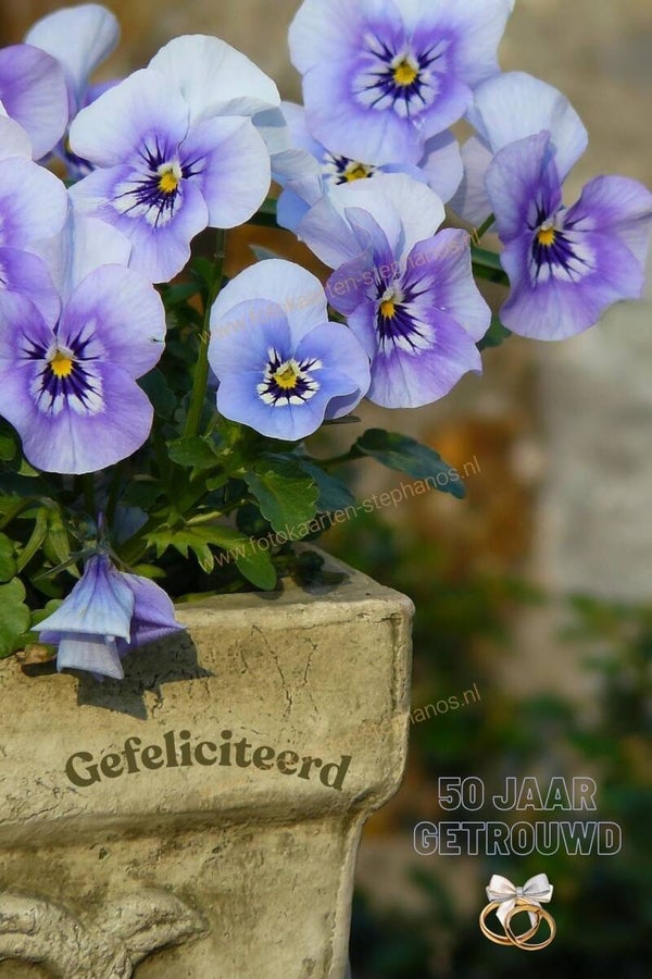 Huwelijk & Jubileum - 50jaar getrouwd 11