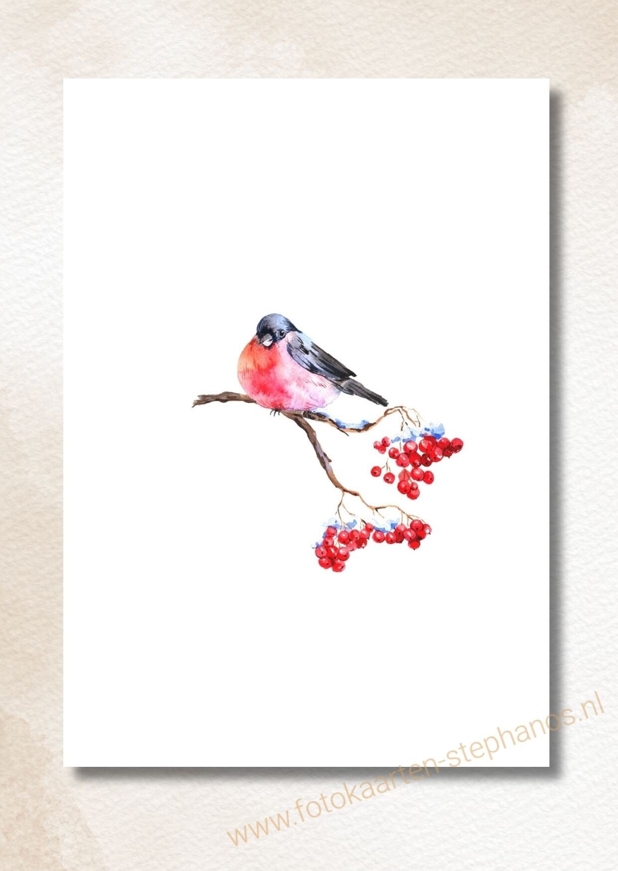 Kerst & Nieuwjaar - Luxe kerstkaarten 11