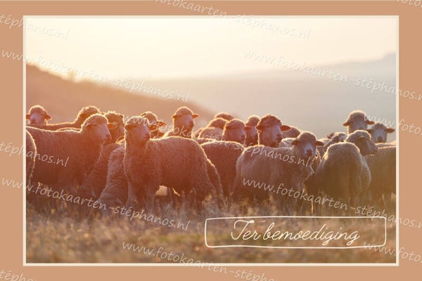 Medeleven - Ter bemoediging 11