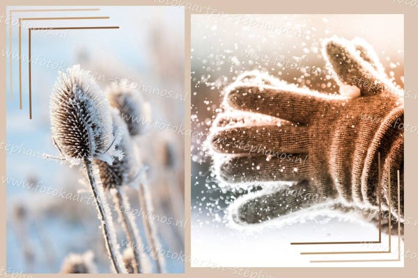 Kerst & Winter - Blanco Winter 11