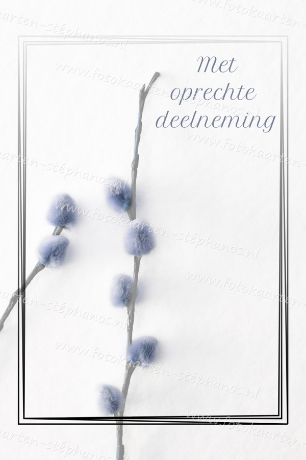 Medeleven - Oprechte deelneming 11