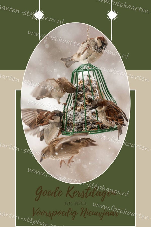 Kerst & Winter - Goede Kerstdagen 25