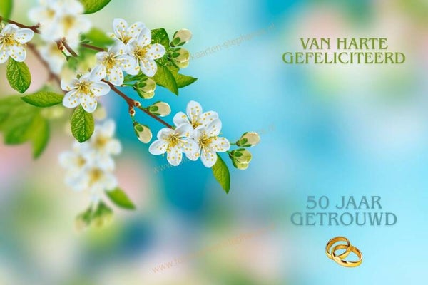 Huwelijk & Jubileum - 50 jaar getrouwd 12