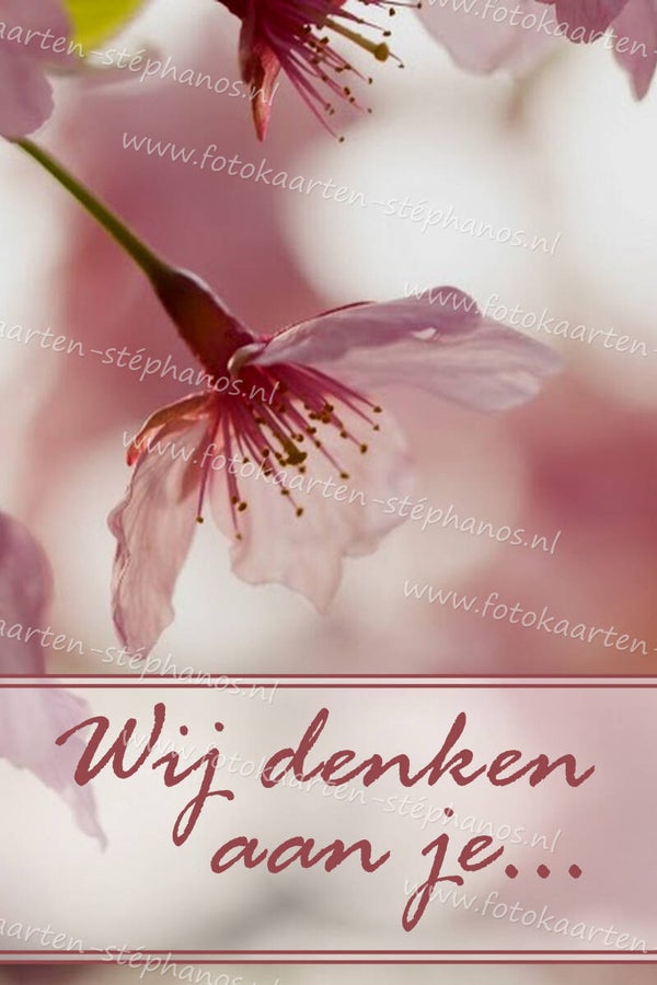 Medeleven - We denken aan je 12