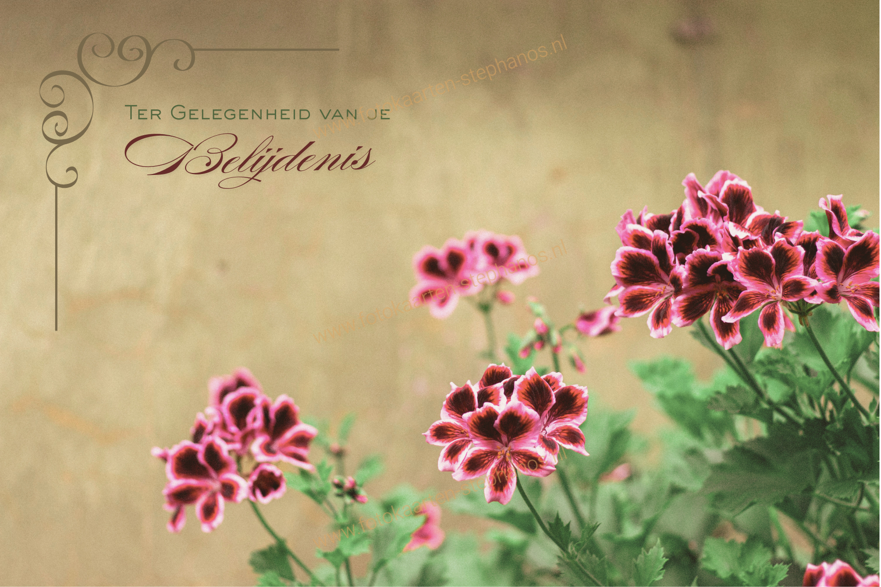 Diversen - Belijdenis 12