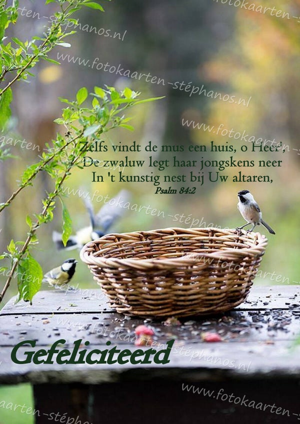 Bijbelteksten & Gedichten 12