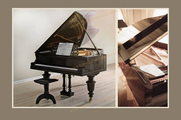 Diversen - Muziekinstrumenten 12